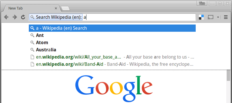 search-google-type-url-1.6