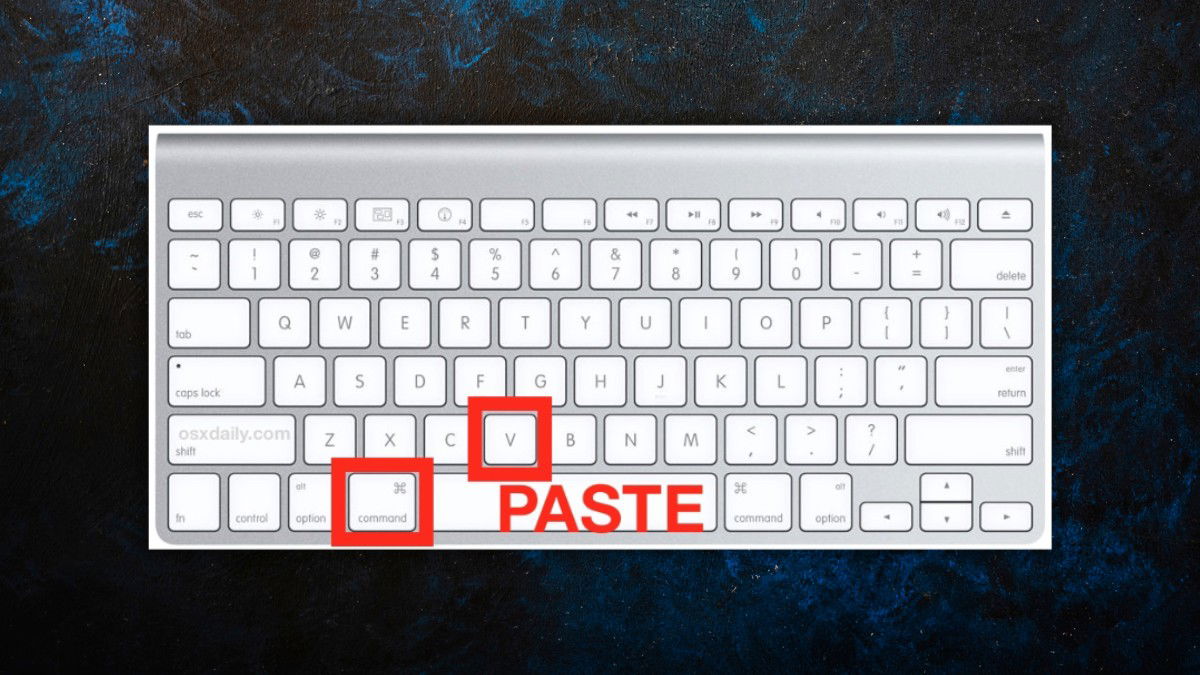 how-to-copy-and-paste-on-mac-1
