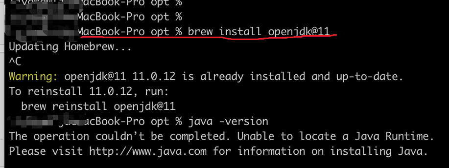 instal-openjdk-macos,windows,linux-1.16